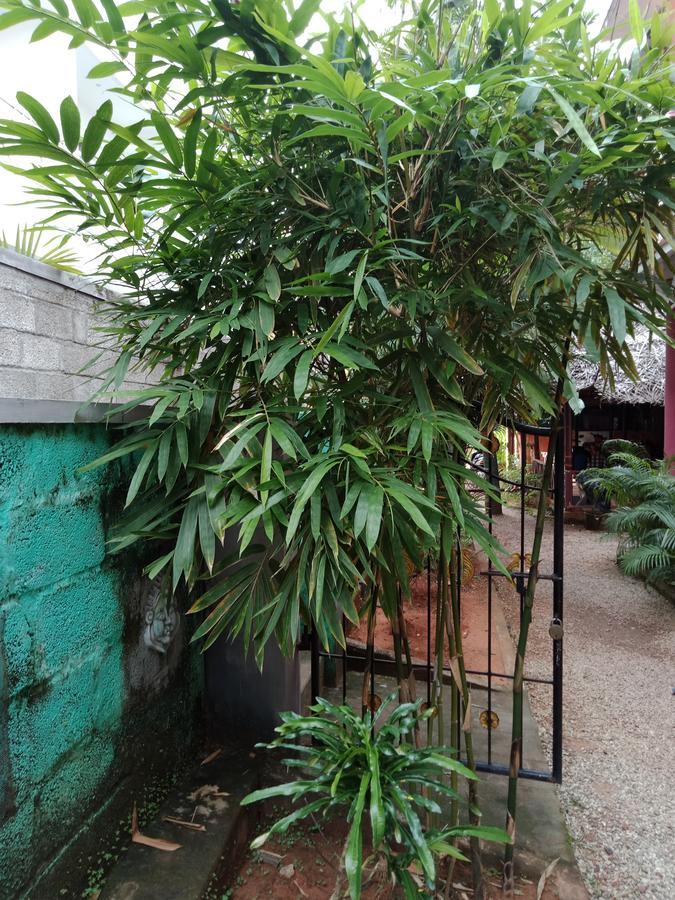 瓦尔卡拉 Mango Palace酒店 外观 照片